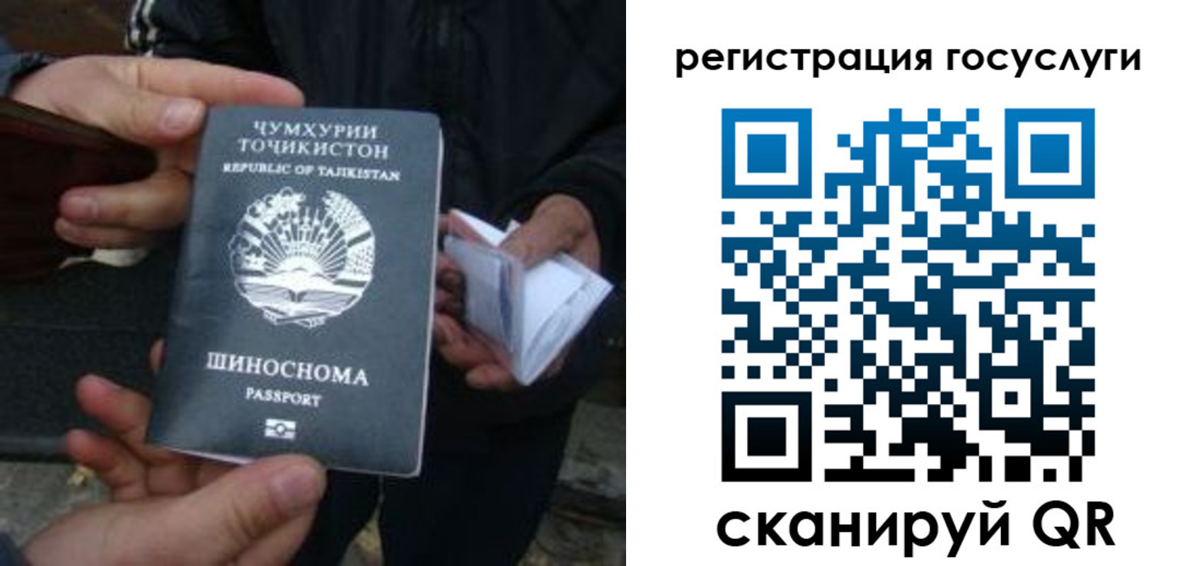прописка регистрация в Ленинградской области